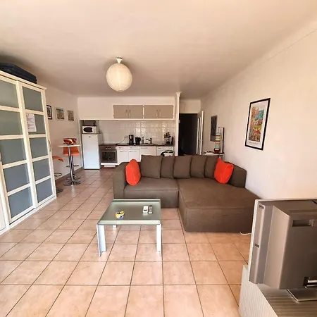Apartment Avec Grande Terrasse, Piscine Chauffee Et Parking, A 700m Des Plages De - Fr-1-309-402 *
