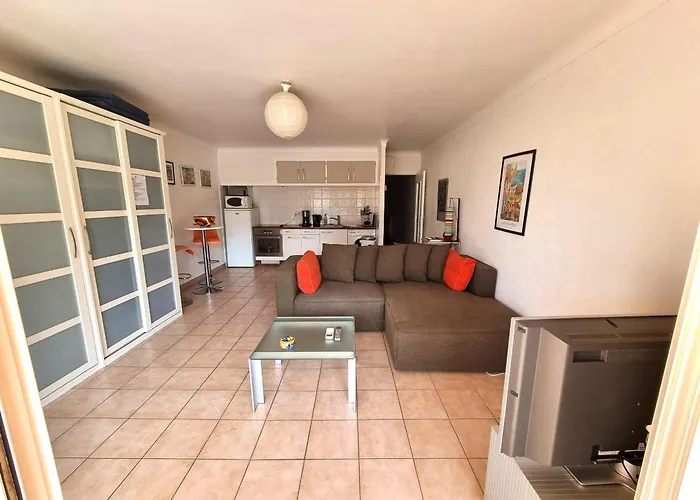 Apartment Avec Terrasse, Piscine Chauffee Et Parking A - Fr-1-309-402 *